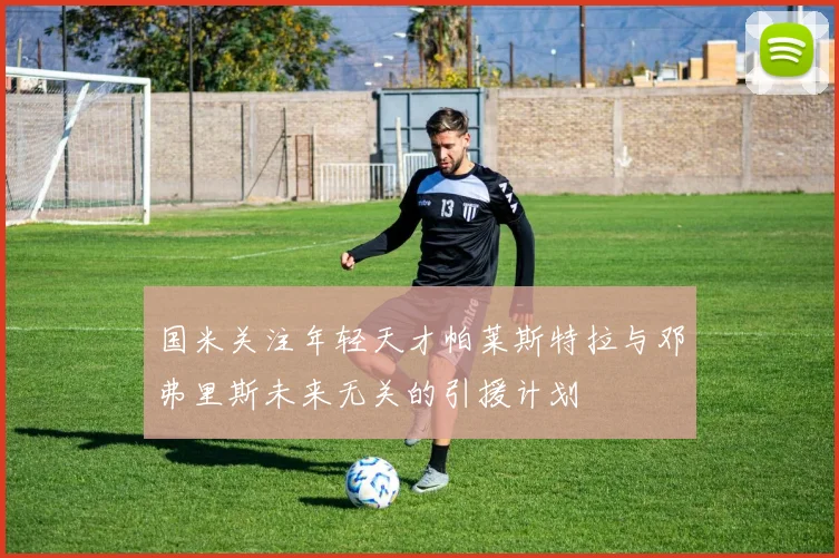 国米关注年轻天才帕莱斯特拉与邓弗里斯未来无关的引援计划