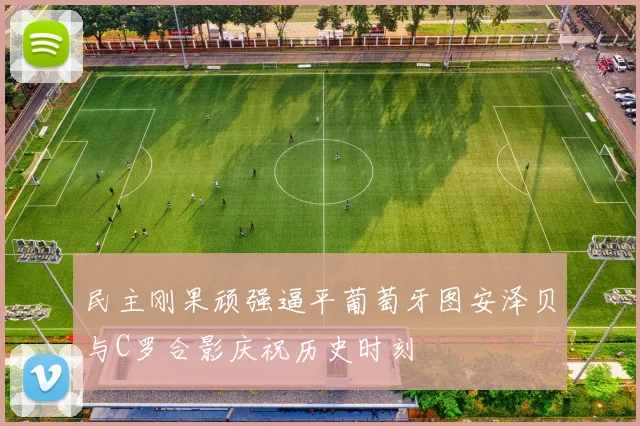 民主刚果顽强逼平葡萄牙图安泽贝与C罗合影庆祝历史时刻