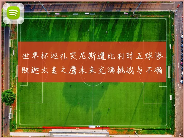 世界杯巡礼突尼斯遭比利时五球惨败迦太基之鹰未来充满挑战与不确定性